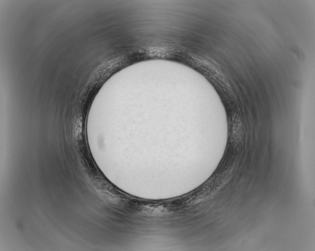 X0000111610502200908281054