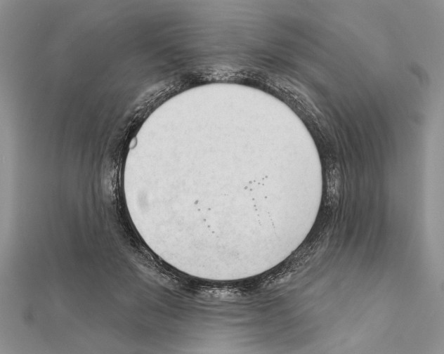 X0000111610503200908281054