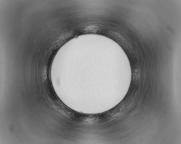 X0000111610504200908281054
