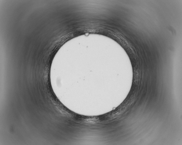 X0000111610505200908281054