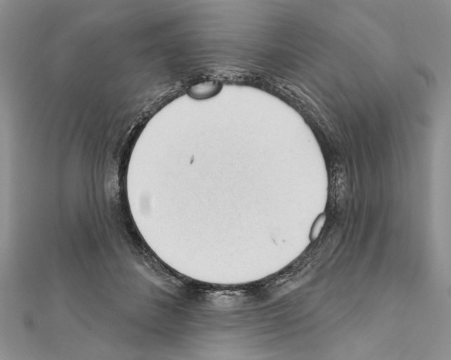 X0000111610508200908281054