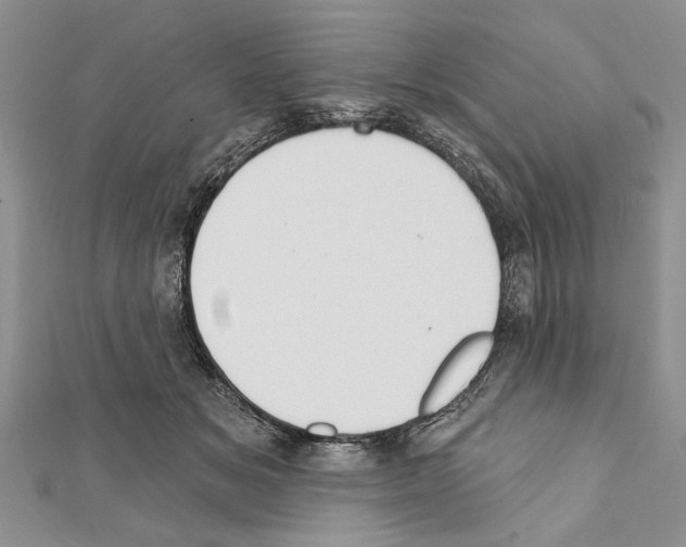 X0000111610509200908281054