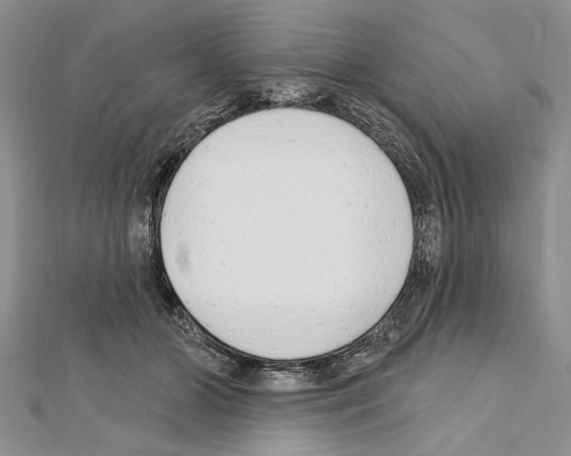 X0000111610510200908281054
