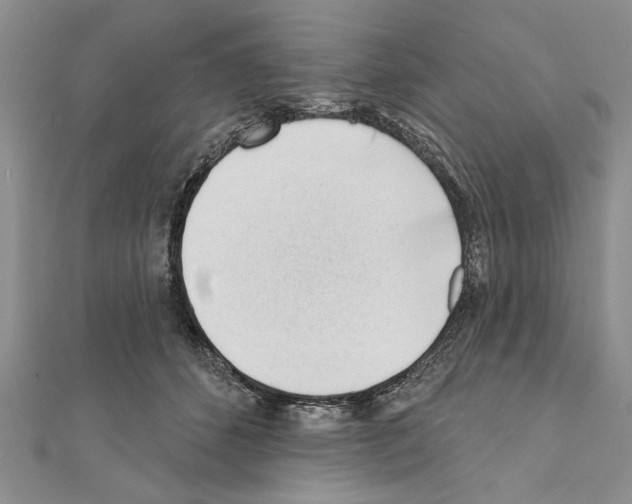 X0000111610512200908281054