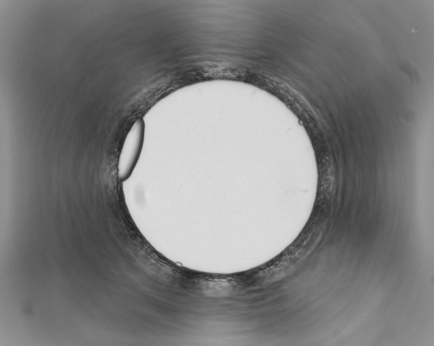 X0000111610513200908281054