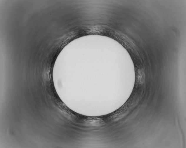 X0000111610514200908281054