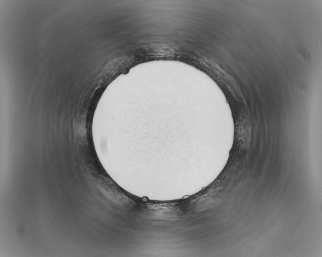 X0000111610516200908281054
