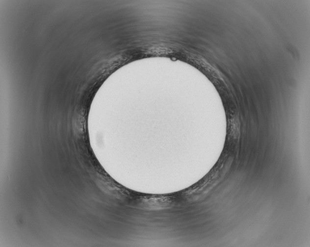 X0000111610517200908281054