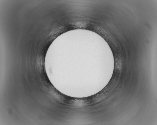 X0000111610518200908281054