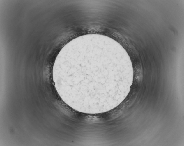 X0000111610519200908281053