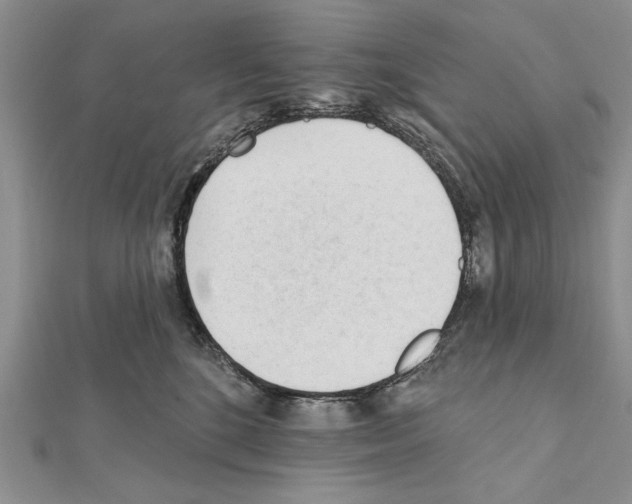 X0000111610520200908281053