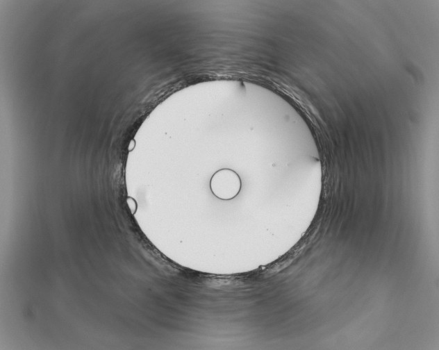 X0000111610521200908281053