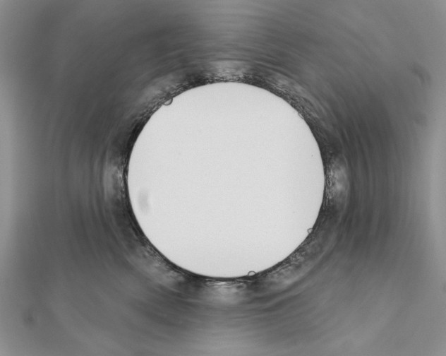 X0000111610522200908281053