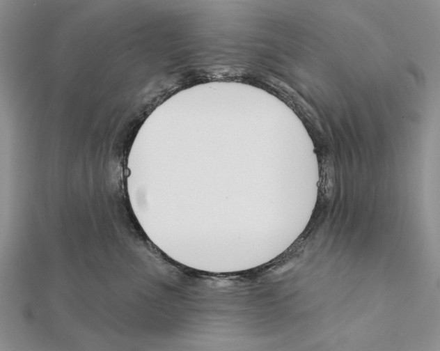 X0000111610523200908281053