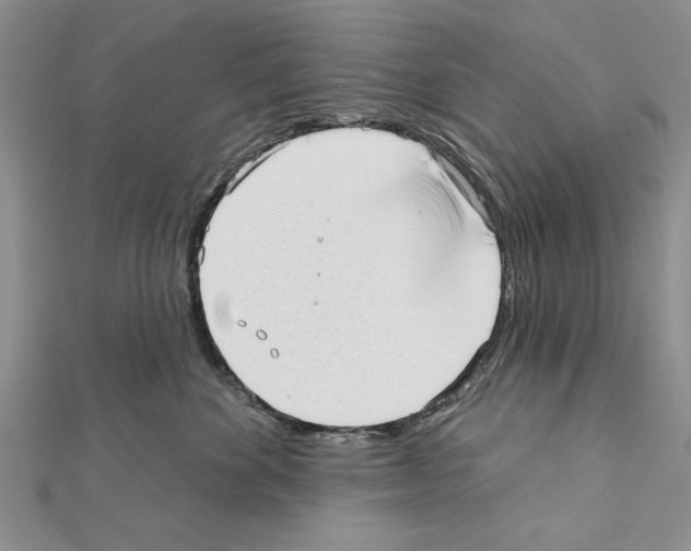 X0000111610524200908281053