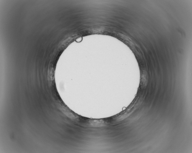 X0000111610525200908281053