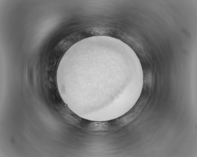 X0000111610526200908281053