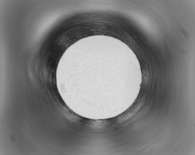 X0000111610527200908281053