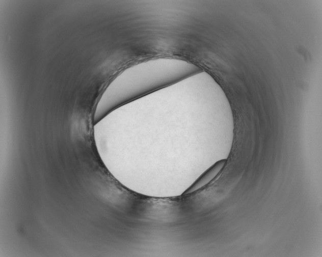 X0000111610528200908281053