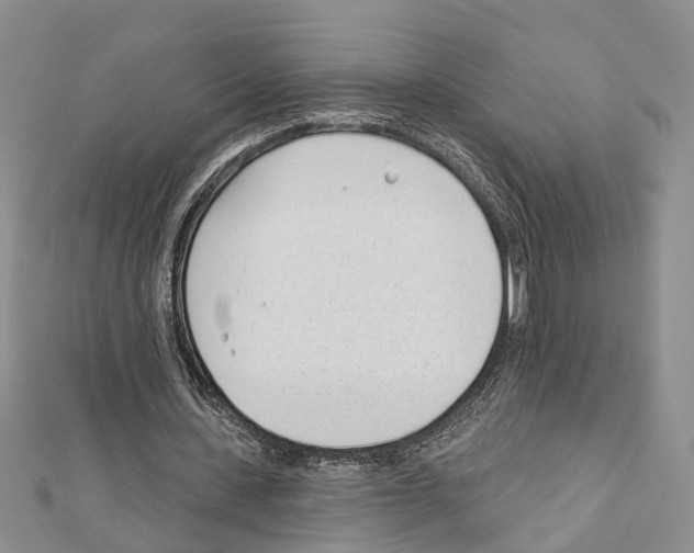 X0000111610531200908281053