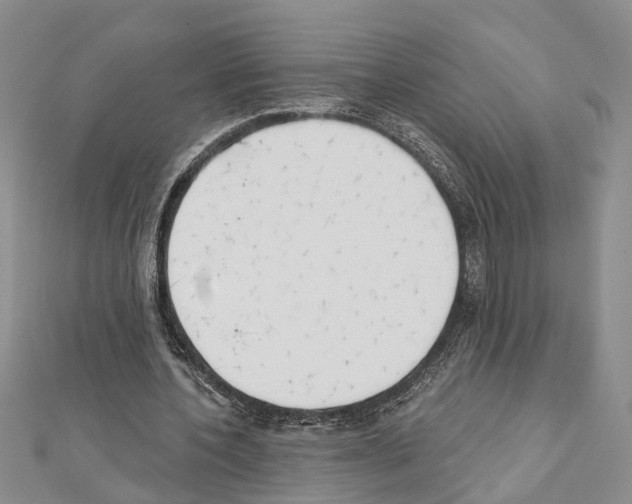 X0000111610532200908281053