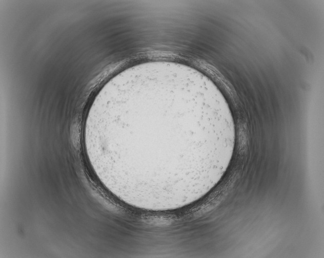 X0000111610533200908281053