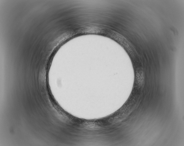 X0000111610534200908281053