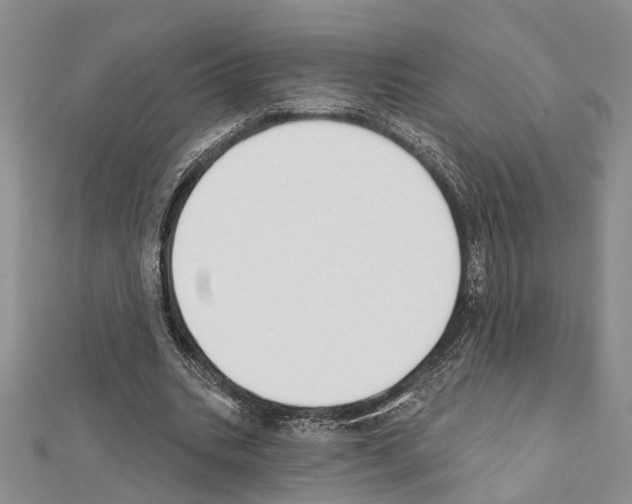 X0000111610535200908281053