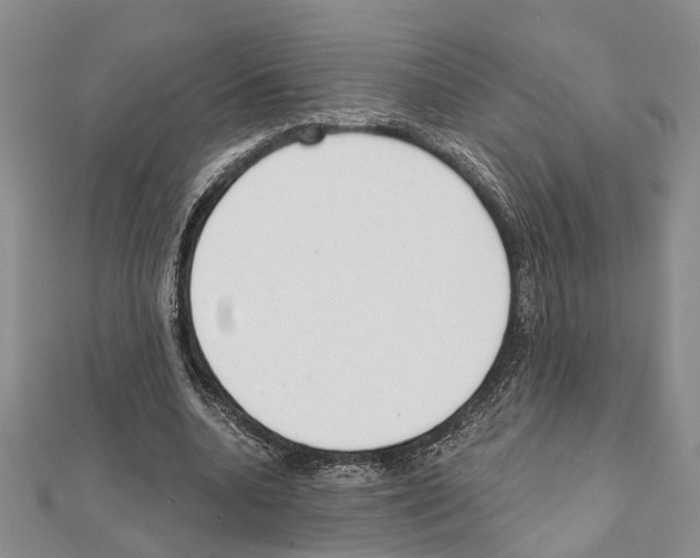 X0000111610536200908281053