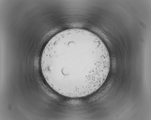X0000111610537200908281053