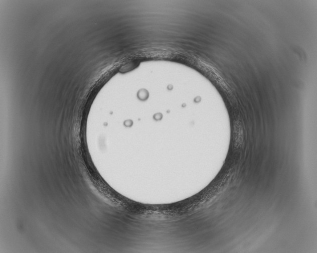 X0000111610538200908281053