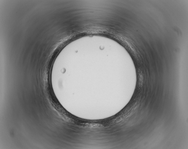 X0000111610539200908281053