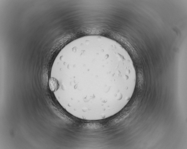 X0000111610541200908281053
