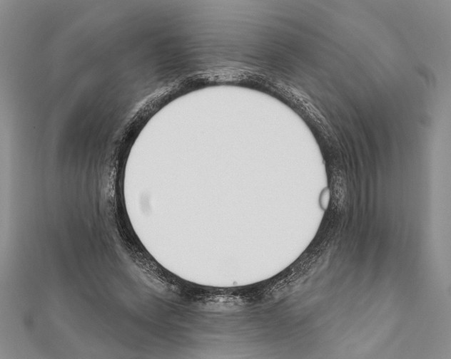 X0000111610543200908281053