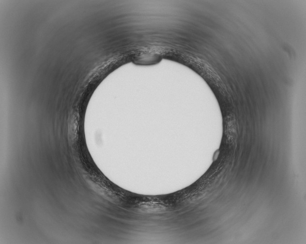 X0000111610544200908281053