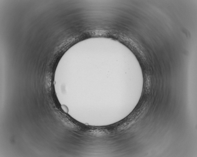 X0000111610545200908281053