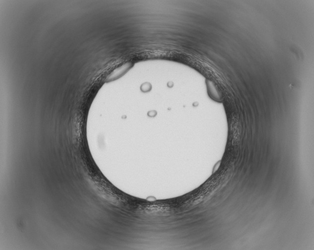 X0000111610546200908281053