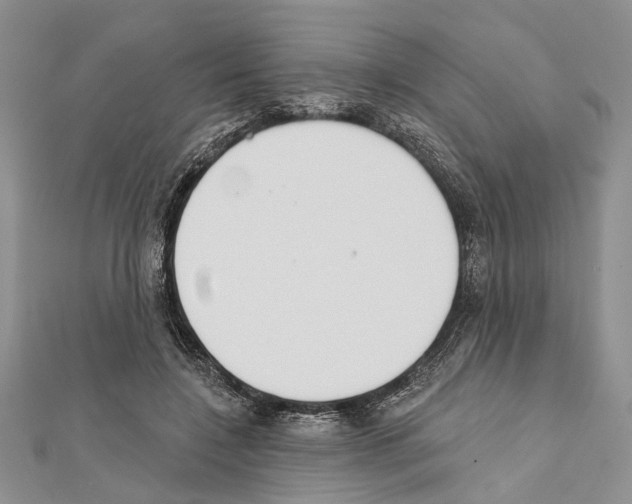 X0000111610548200908281053