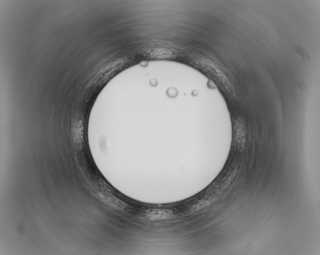 X0000111610549200908281053