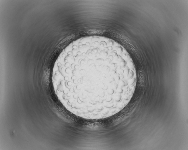 X0000111610550200908281053