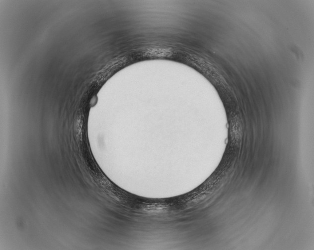 X0000111610551200908281053