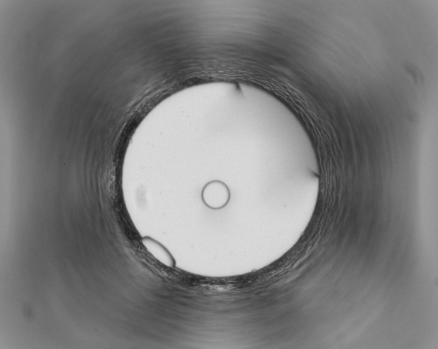 X0000111610552200908281053