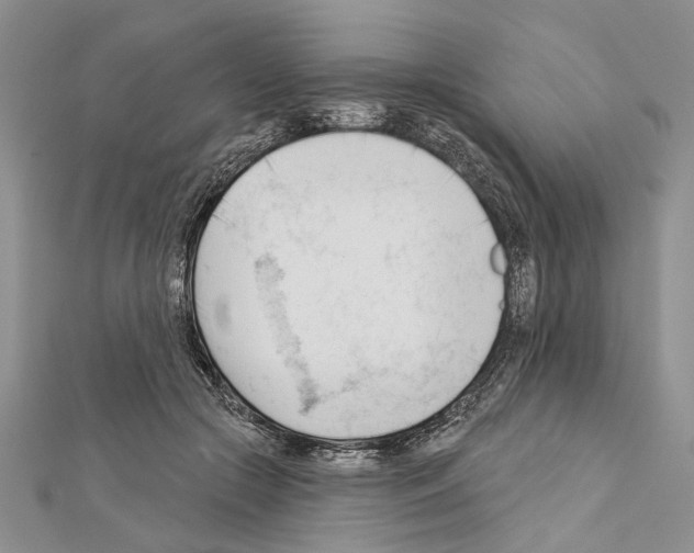 X0000111610553200908281053