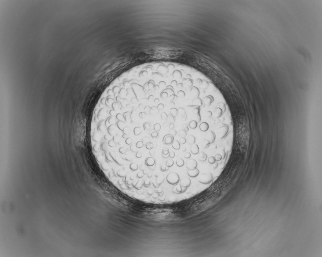 X0000111610554200908281053