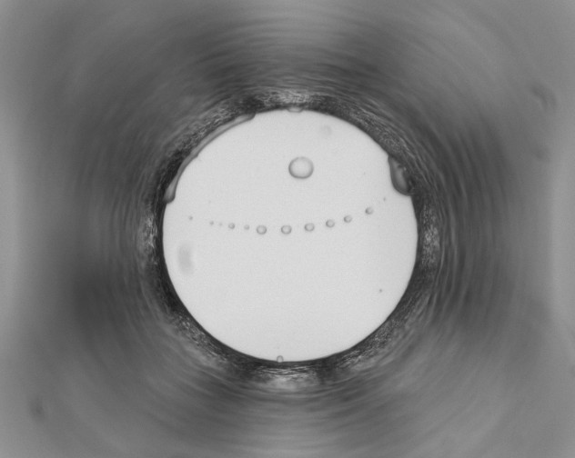 X0000111610555200908281053
