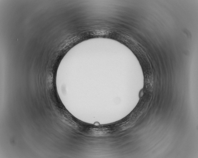 X0000111610556200908281053