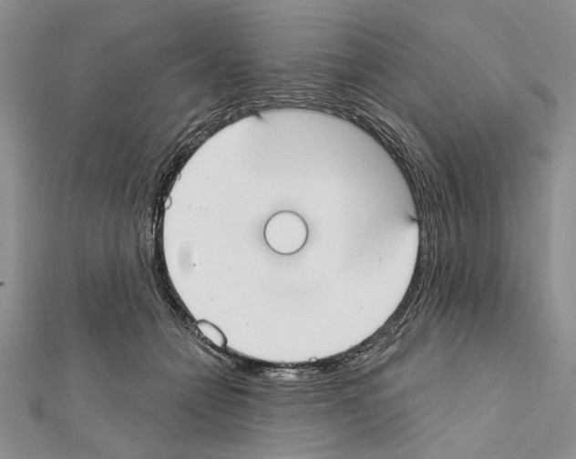 X0000111610558200908281053