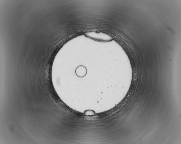 X0000111610560200908281053