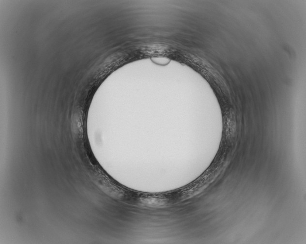 X0000111610561200908281053