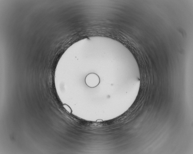 X0000111610562200908281053